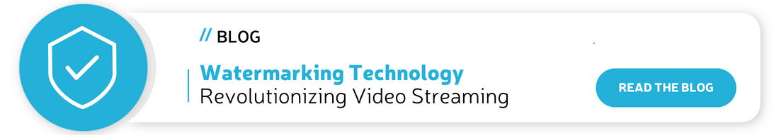 Watermarking Technology in Video Streaming