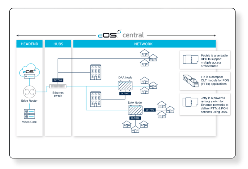 Where does Fin OLT fit into a PON deployment?